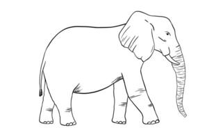 Elefant skizzieren isoliert auf Weiß Hintergrund. Vektor Gravur Illustration. Gekritzel afrikanisch Tier
