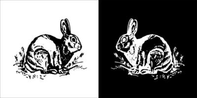 Illustration Vektor Grafik von Hase Symbol