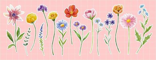 Frühling Blumen Aufkleber auf Rosa Hintergrund. Aquarell Vektor Illustration