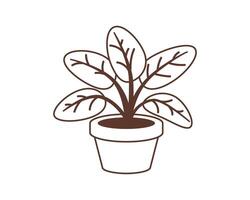 Pflanze im Topf Vektor Symbol zum Zuhause Dekoration. Zimmerpflanze schwarz und Weiß Linie Illustration.