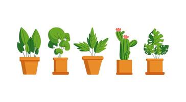 uppsättning av Hem växter. blomma i pott. krukväxt, inlagd växt. kaktus, löv. keramisk pott. vektor illustration på isolerat bakgrund.