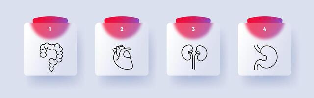 Organe einstellen Symbol. Innereien, Magen, Herz, Nieren, Blut, Nummerierung, eben Design. selbst Pflege Konzept. Glasmorphismus Stil. vektor