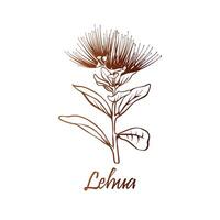 Ohia lehua, Zustand Blume von Hawaii. Hand gezeichnet botanisch Vektor Illustration