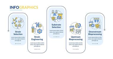 precision jäsning stadier rektangel infographic mall. data visualisering med 5 steg. redigerbar tidslinje info Diagram. arbetsflöde layout med linje ikoner vektor