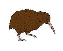 Vektor Hand gezeichnet Gekritzel skizzieren Kiwi Vogel