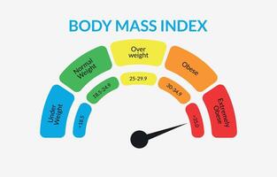 Körper Masse Index Infografik Diagramm. bunt bmi Diagramm Vektor Illustration mit Weiß isoliert Hintergrund