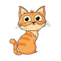 süße Haustierkatzen-Cartoon-Figur vektor