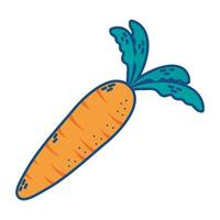 isolierte Ikone des frischen Karottengemüses vektor