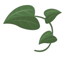 tropische Blätter Pflanze vektor