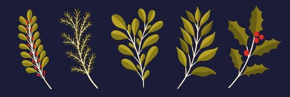 jul blommig växt set.nyår 2021 samling gren leaf.decoration botanisk design. vektor