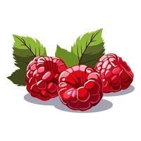 Hand voll von rot saftig und gesund Himbeeren mit Grün Blatt isoliert auf Weiß Hintergrund. Vektor Beeren Illustration im eben Stil. Sommer- Clip Art zum Design von Karte, Banner, Flyer, Verkauf, Poster