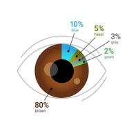 Auge Farbe Prozentsatz über das Globus. Mensch Auge mit Kuchen Diagramm Diagramm. eben Vektor Illustration isoliert auf Weiß Hintergrund.