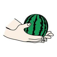 vattenmelon sommar frukt vektor illustration