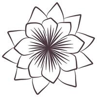 lotus blomma linje konst vektor