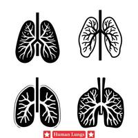 pedagogisk vektor grafik av mänsklig lungor lämplig för medicinsk Träning moduler