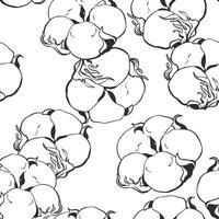 nahtlos schwarz und Weiß Muster von Baumwolle Blumen. botanisch Illustration mit Gravur Technik. Vektor Tinte skizzieren. Illustration geeignet zum Stoff, Textil-