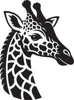 Giraffe Kopf Vektor Symbol im eben schwarz Farbe isoliert auf Weiß Hintergrund.