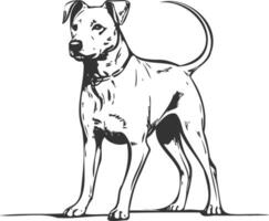 Illustration von ein Hund, streunend Hund im das Straßen, Linie Kunst Hündchen, Bleistift Kunst, golden Retriever vektor