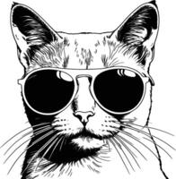 katt bär solglasögon, skraj katt, mode katt, eleganta katt, nyanser, linje konst vektor