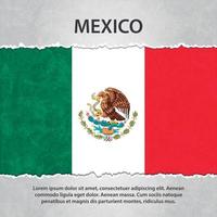Mexikos flagga på trasigt papper vektor