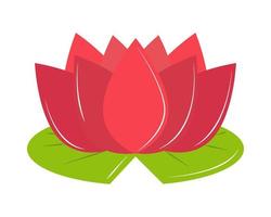 blomma lotus natur vektor