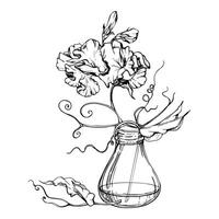 Hand gezeichnet Vektor Grafik Tinte Illustration botanisch Blumen Blätter. Süss ewig Erbse, Wicke Winde Hülsenfrucht. Glas Vase Strauß isoliert Weiß Hintergrund. Design Hochzeit, Liebe Karten, Blumen- Geschäft