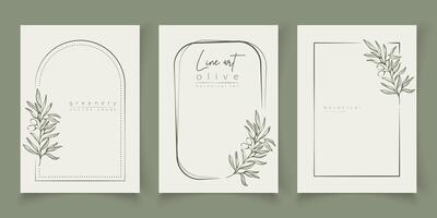 botanisk linje konst illustration uppsättning av oliv löv, gren ramar för bröllop inbjudan och kort, logotyp design, webb, social media och posters mall. elegant minimal stil blommig vektor isolerat