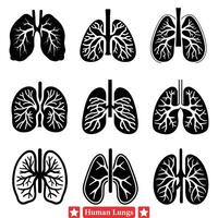 omfattande vektor uppsättning av mänsklig lungor perfekt för medicinsk infographic design