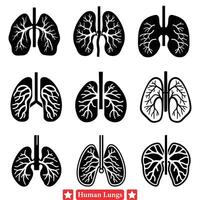 einnehmend Mensch Lunge Silhouetten einstellen Ideal zum Gesundheit verbunden Blog Grafik vektor
