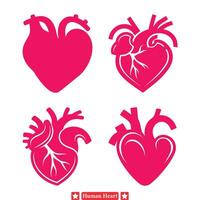 Herz Krankheit Bewusstsein umfangreich Vektor einstellen von Mensch Herz Silhouetten zum Gesundheit Anwaltschaft und lehrreich Initiativen