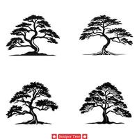 ekar av natur enbär träd silhuetter för miljö- teman vektor