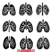 omfattande vektor illustrationer av mänsklig lungor för medicinsk hemsida banderoller
