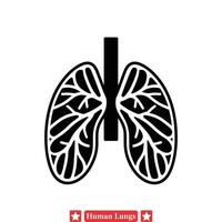 detaljerad vektor illustrationer av mänsklig lungor skräddarsydd för medicinsk forskning papper