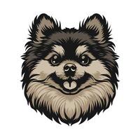 pomeranian hund ansikte stock vektor illustration