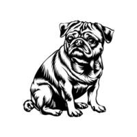 bulldogg hund stock vektor illustration