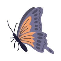 Hand gezeichnet bunt Schmetterling im eben Stil isoliert auf Weiß Hintergrund. Frühling Konzept. Ideal zum Dekoration, Aufkleber, Grüße, Banner und Hintergrund vektor