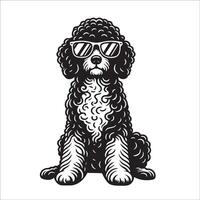 ai generiert schwarz und Weiß Portugiesisch Wasser Hund tragen Sonnenbrille Illustration vektor