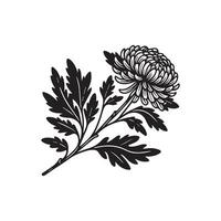 ai generiert Chrysantheme Blume Silhouette schwarz und Weiß Illustration vektor