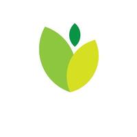 einfach Grün Blatt Logo Vektor Design