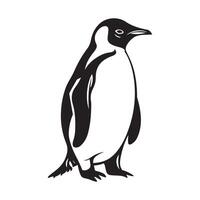 Pinguin Vektor Kunst und Grafik