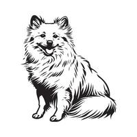 amerikan eskimo hund vektor illustration