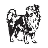 Collie Hund Vektor Bilder, Illustration von ein Collie Hund