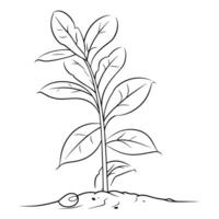 anmutig Bohne Pflanze Gliederung Symbol im Vektor Format zum landwirtschaftlich Entwürfe.