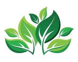 Grün Blätter Symbol Design isoliert eben Vektor Illustration auf Weiß Hintergrund