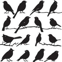 uppsättning av fåglar svart silhuett på vit bakgrund vektor
