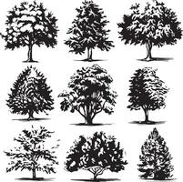 stor uppsättning av hand dragen träd skisser på vit bakgrund vektor