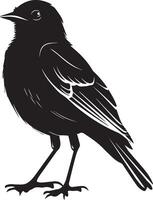 svart silhuett fågel på vit bakgrund vektor
