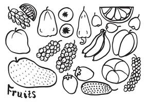 doodle frukt set. handritning av frukter i olika stilar. vektor