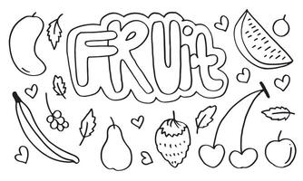 doodle frukt set. handritning av frukter i olika stilar. vektor