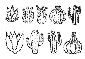 Kaktus Vektor Illustrationen, Hand gezeichnet Vektor Sukkulenten.